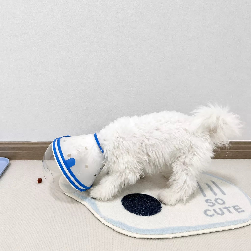 Plastic Recovery Cone for Small Dogs