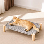 Elevated Cat Bed with Scratching Surface