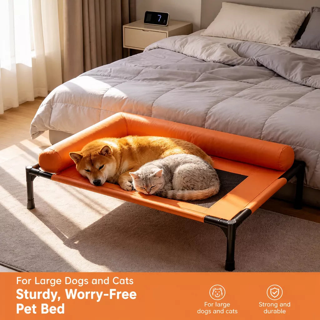 Raised Pet Cot Bed for Small to Medium Dogs and Cats