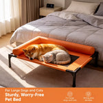 Raised Pet Cot Bed for Small to Medium Dogs and Cats