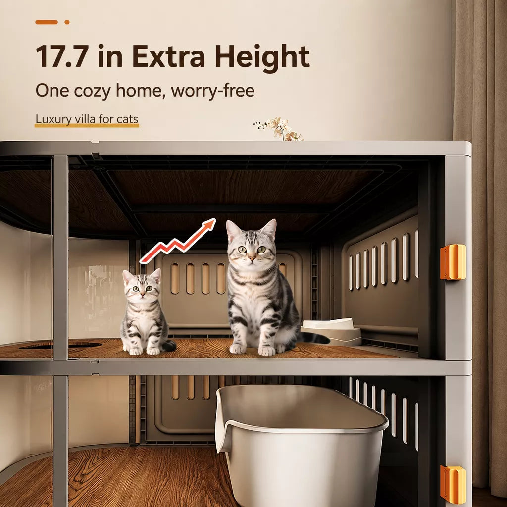 Indoor Multi-Level Cat Enclosure