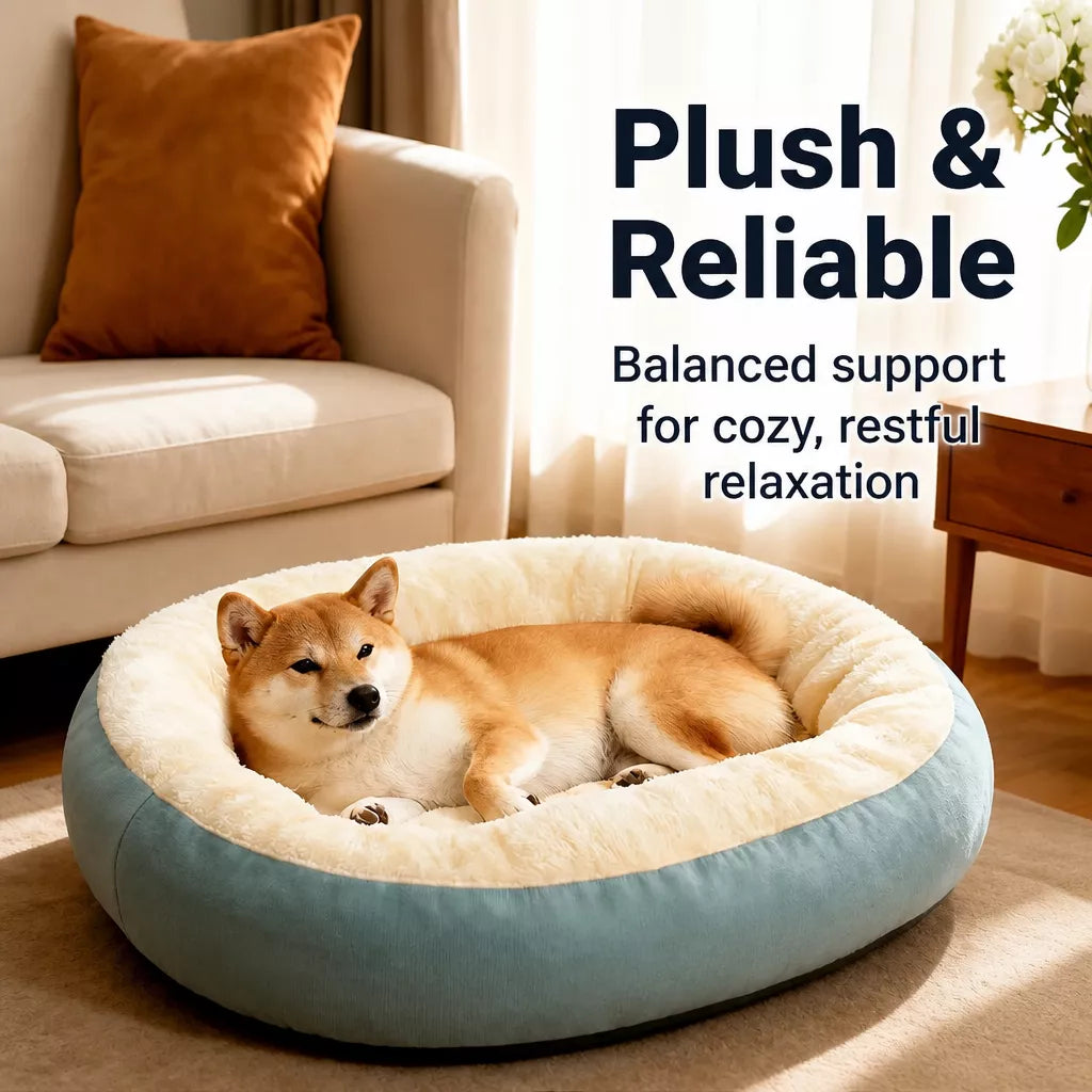 Dog & Cat Bed with Cushioned Base — All-Season & Winter Styles