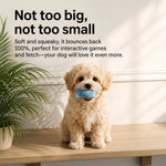 Squeaky Elastic Ball Toy for Dogs