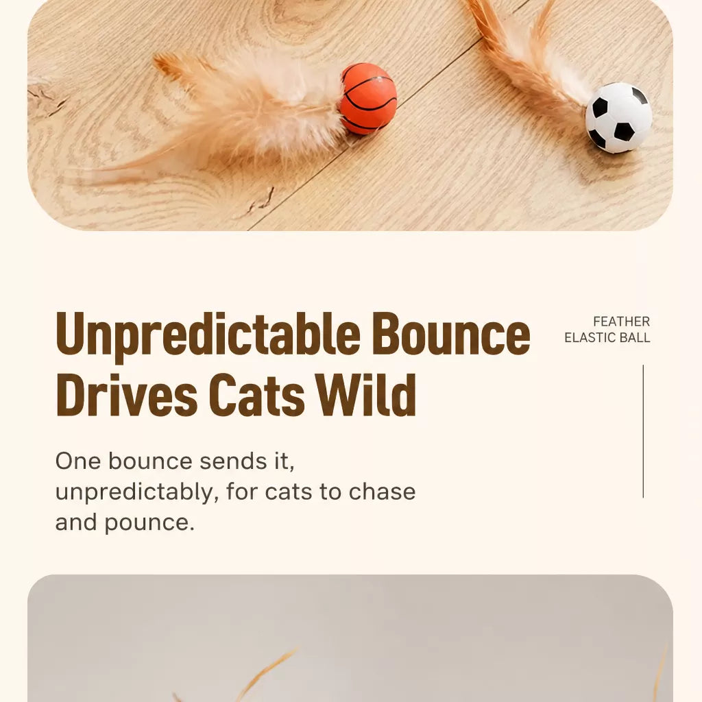 Cat Feather Teaser Ball Toy