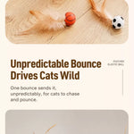 Cat Feather Teaser Ball Toy