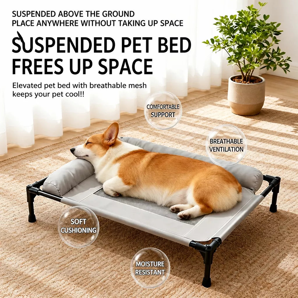 Elevated Dog Cot Bed with Mesh Sleeping Surface