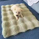 Pet Bed Mat for Cats, Dogs & Rabbits