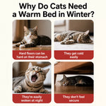 Semi-Enclosed EPE Foam Pet Bed for Cats and Small Dogs