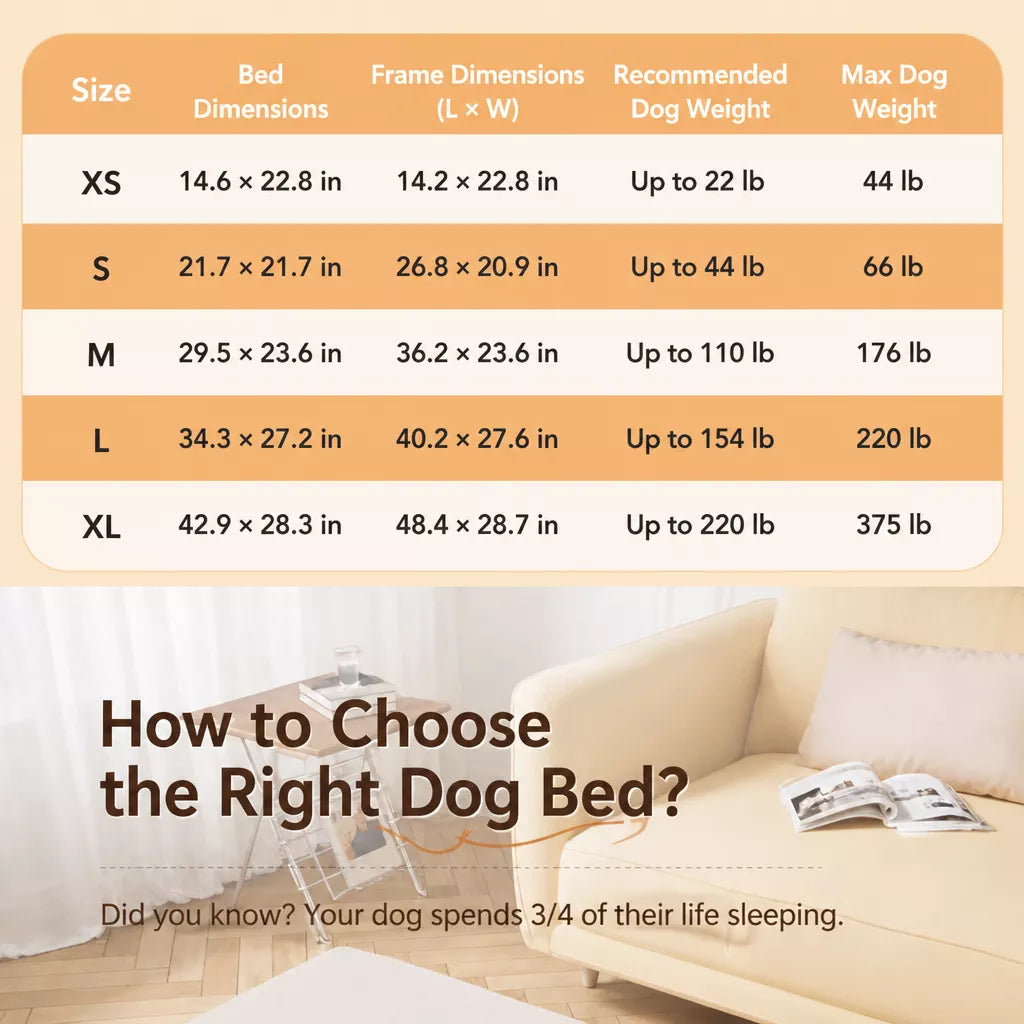 Elevated Dog Bed with Nylon Cot and Stainless Steel Frame