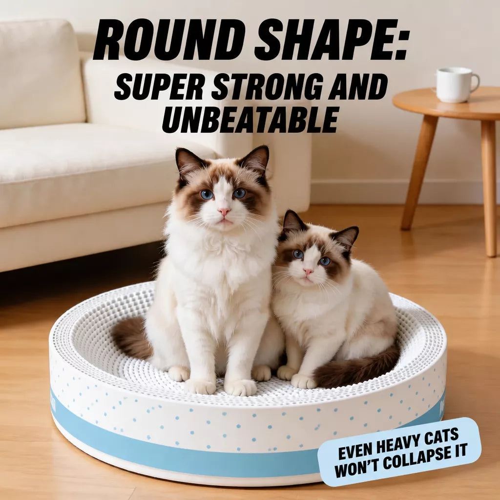 Corrugated Cardboard Cat Scratcher Lounge