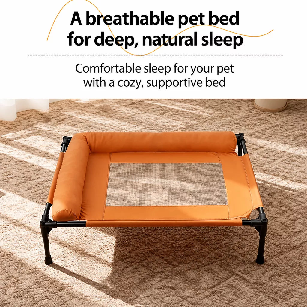 Elevated Dog Cot Bed with Mesh Sleeping Surface