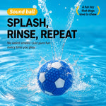 Squeaky Vinyl Ball Dog Toy for Small and Medium Dogs