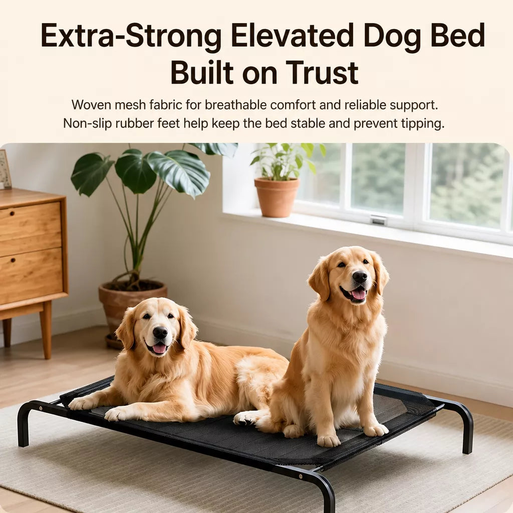 Elevated Dog Cot with Nylon Mesh and Iron Frame