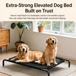 Elevated Dog Cot with Nylon Mesh and Iron Frame