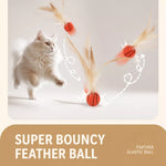 Cat Feather Teaser Ball Toy