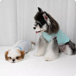 Lightweight Printed Color-Block Vest for Small Dogs