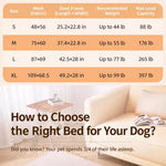 Elevated Mesh Dog Cot Bed