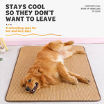 Woven Rattan Pet Mat for Cats and Dogs – Crate or Floor Use