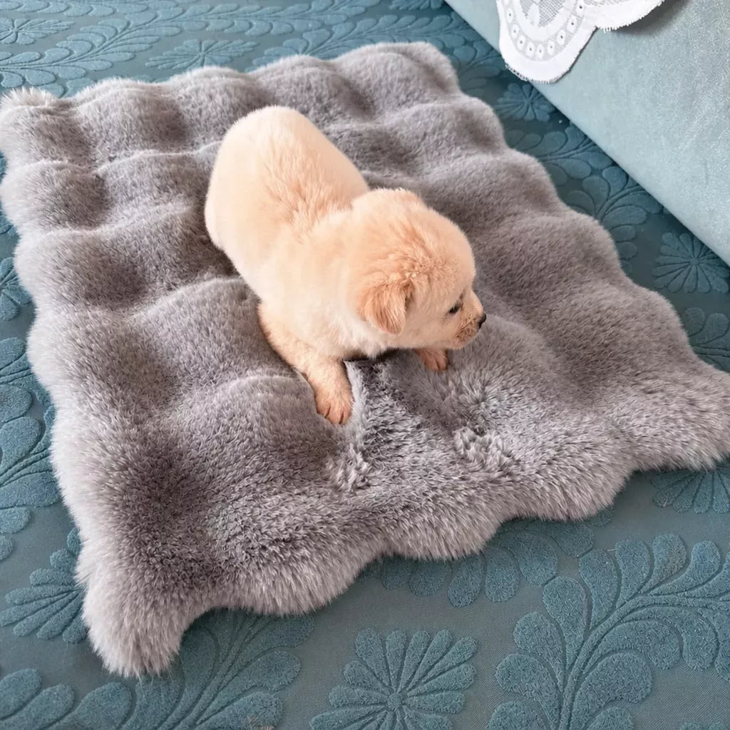 Pet Bed Mat for Cats, Dogs & Rabbits