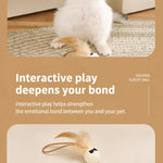 Cat Feather Teaser Ball Toy