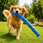 4-Section Squeaky Sausage Dog Toy