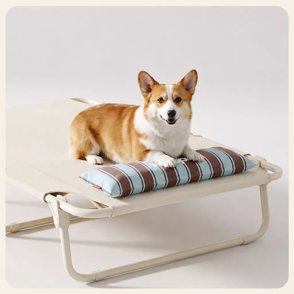Elevated Waterproof Dog Cot Bed
