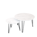 27.56'' Round Nesting Coffee Table Set of 2,Circular Nesting End Table Set, Round Marble Tabletop, and Sturdy Metal Base for Living Room, bedroom, White W808P176737-djyc