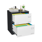 2 Drawer Metal Lateral File Cabinet with Lock,Office Vertical Files Cabinet for Home Office/Legal/Letter/A4,Locking Metal File Cabinet,Assembly Required W1247118739-djyc