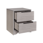 Grey Wooden Nightstand with TwoDrawers for Bedrooms and Other Places. W328127505-djyc
