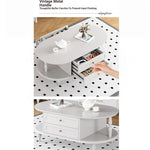 Stylish Multi-Layer Board Tea Table with Storage | Modern Oval Coffee Table for Living Room fcr-4837