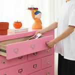 Pink Pine Density Board Cabinet - Stylish Storage Solution for Your Home fcwz-2366