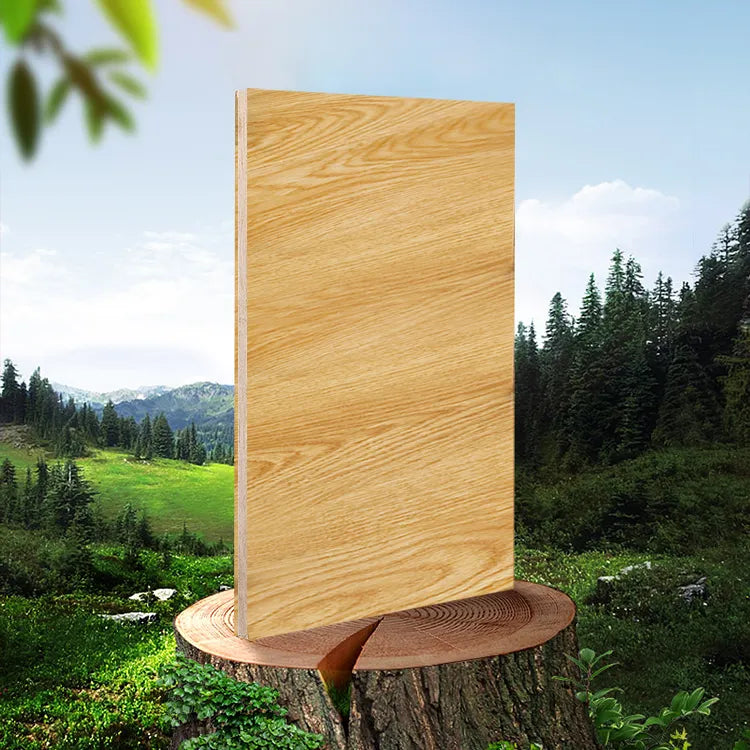 Modern Wooden Tea Table with Storage and Adjustable Height for Living Room fcx-2592