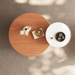 Stylish Round Tea Table with Solid Wood Top and Sleek Stainless Steel Legs fhj-4501