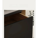 Stylish Sintered Stone and Pine Walnut Cabinet for Modern Interiors - Space-Saving Design with Ample Storage fjd-4741