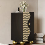 Elegant Modern Cabinet with Density Board and Stainless Steel Accents - Stylish Storage Solution fjd-4742