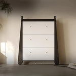 Stylish Ash Wood Density Board Cabinet with Modern Design and Gold Accents - Perfect for Any Room! fjd-4746