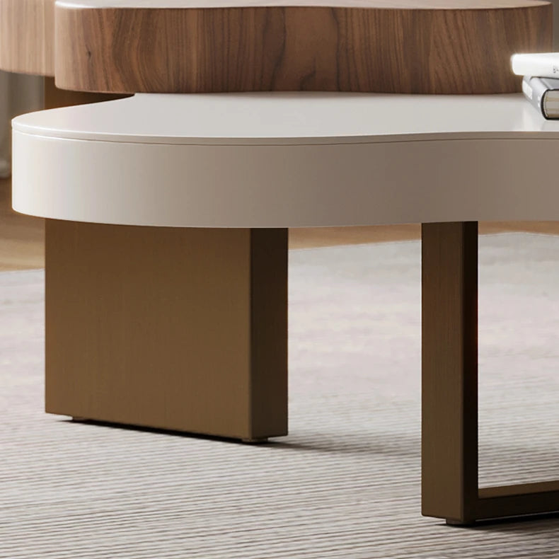 Elegant Multi-Layer Board and Stainless Steel Tea Table with Modern Design fkb-4389