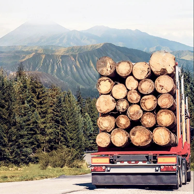 Luxury Marble & Stainless Steel Cabinet: Enhance Your Space fmsjj-4210