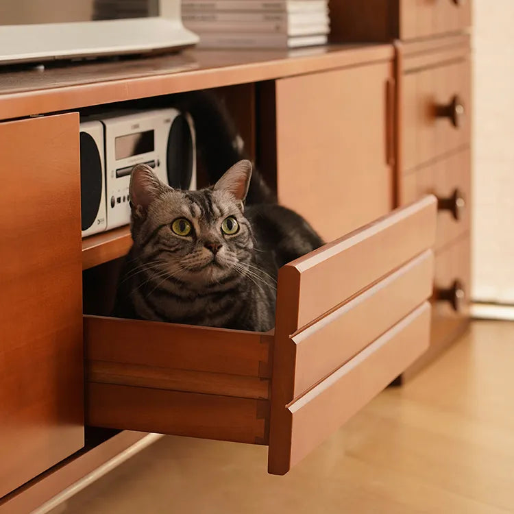 Sleek Boxwood TV Stand for Modern Living Rooms - Elegant Home Entertainment Center fpmxm-2786