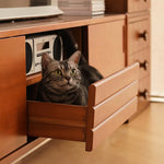 Sleek Boxwood TV Stand for Modern Living Rooms - Elegant Home Entertainment Center fpmxm-2786