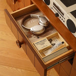 Elegant Boxwood Cabinet for Modern Living Spaces: Stylish Storage Solution fpmxm-2798