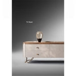 Stylish PU Leather TV Stand with Black Walnut Top and Metal Legs – Modern and Functional Entertainment Unit fsu-5242