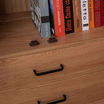 Elegant Brown Cherry and Paulownia Wood Cabinet with Glass and Metal Accents fyx-857