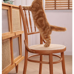 Elegant Light Brown Beech Wood Chair with Rattan Design fyx-888