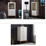 Sleek Modern Cabinet with Chic Shell Finish for Elegant Interiors hbs-4436