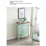 Elegant Pine Density Board Cabinet with Artistic Hand-Painted Design - Perfect Storage Solution for Your Home hfgxc-4866