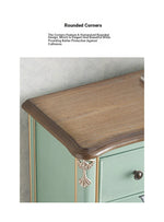 Elegant Pine Density Board Cabinet with Artistic Hand-Painted Design - Perfect Storage Solution for Your Home hfgxc-4866