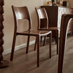 Stylish Black Walnut Wood Dining Chair - Modern Design for Home & Office Decor hjy-5014