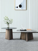 Elegant Sintered Stone Coffee Table Set - Modern Round Design for Living Room Decor hldjj-3023