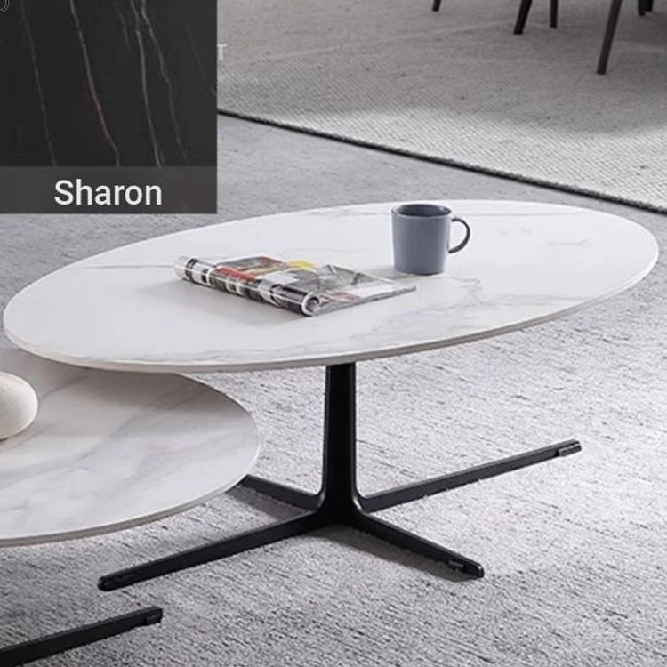 Modern Oval Coffee Table with Sintered Stone Top - Stylish and Chic Living Room Furniture hldjj-3025